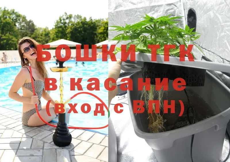 Каннабис Bruce Banner  хочу   Козьмодемьянск 